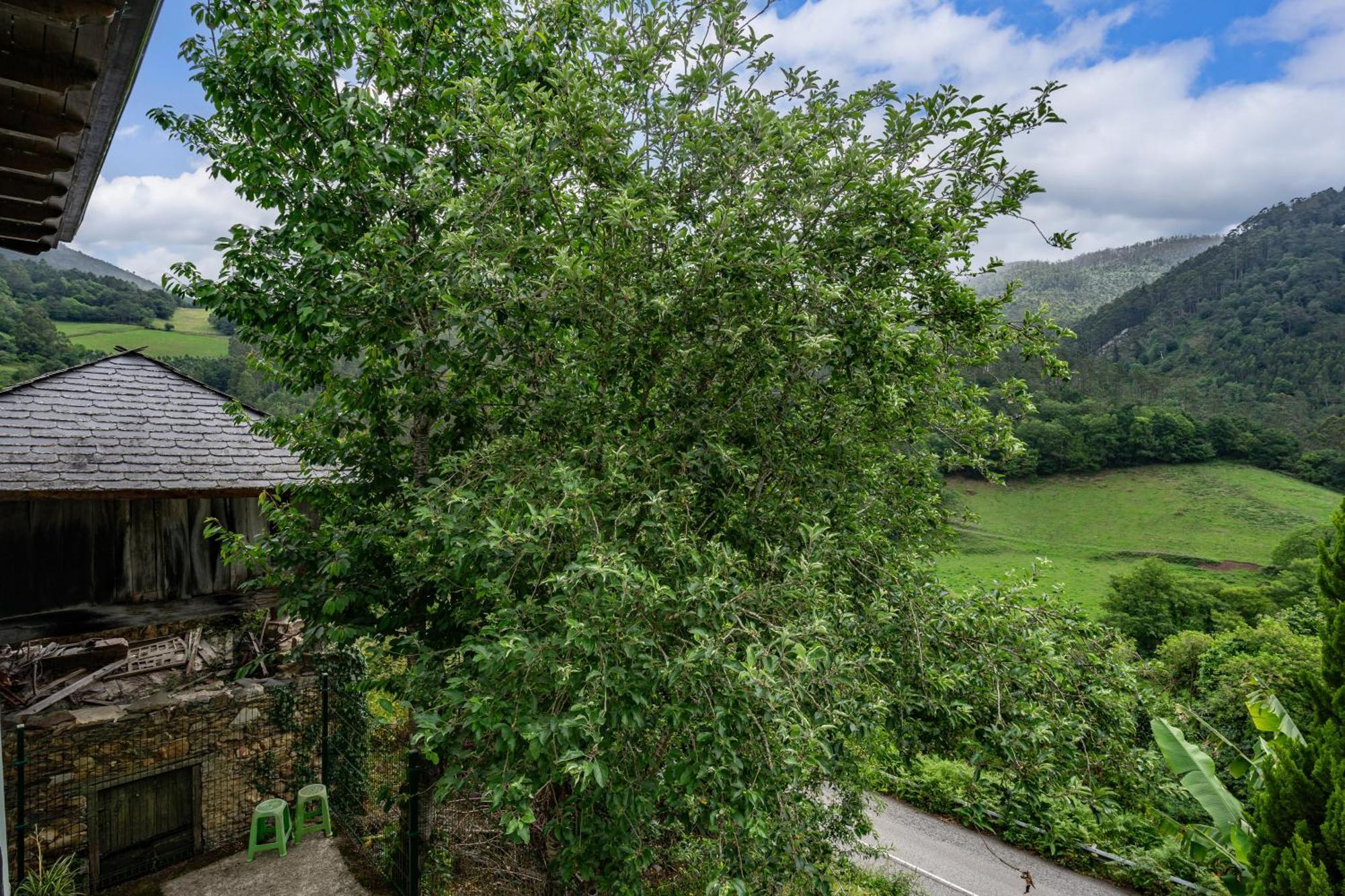 Villa Maseda 1 Villayón Esterno foto
